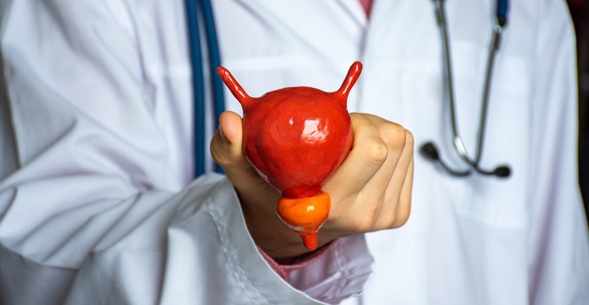 Doctor-with-model-of-human-urinary-bladder-in-his-hand