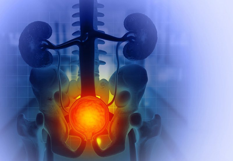 Medical-diagram-showing-prostate